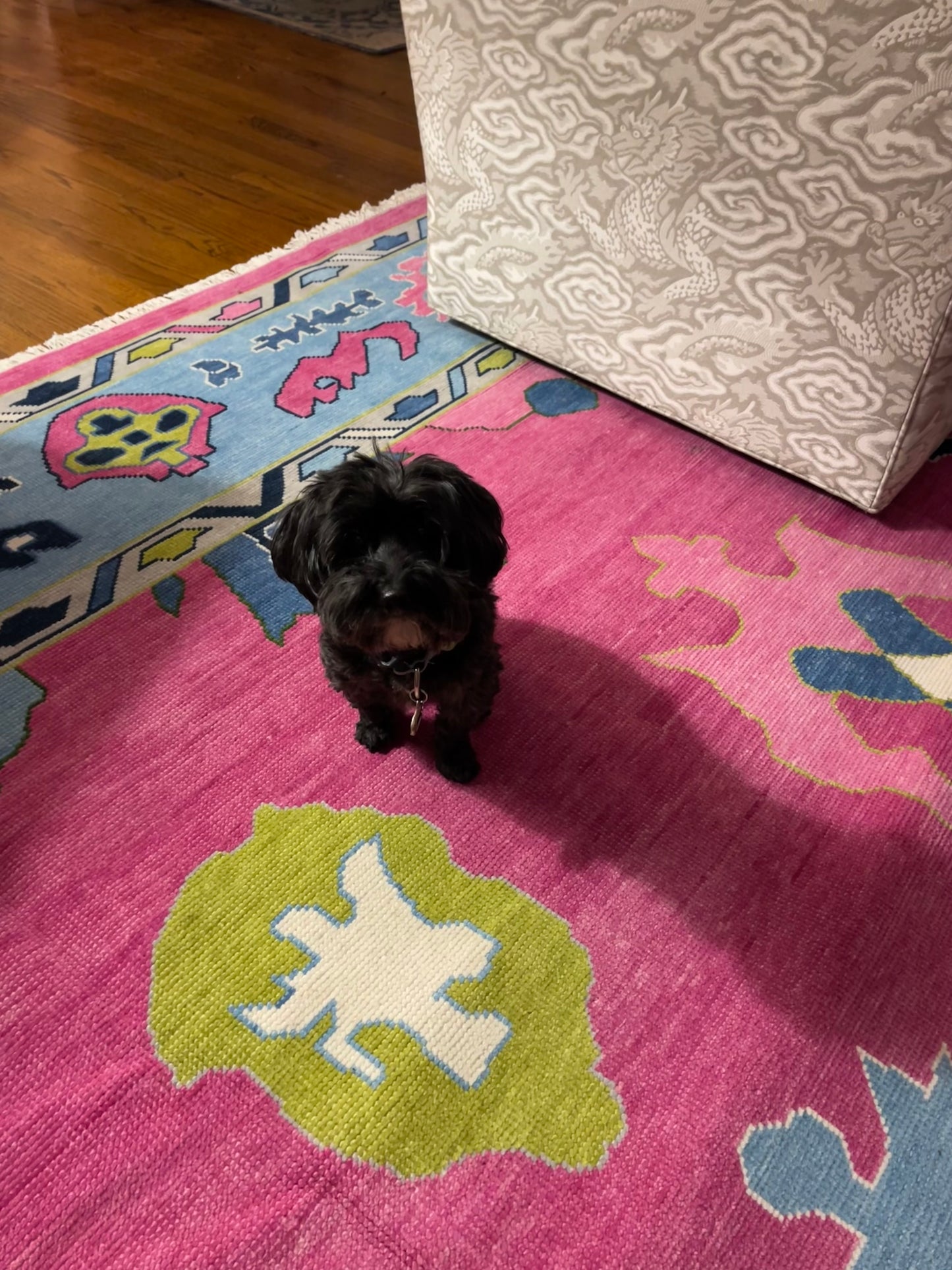 MIMI